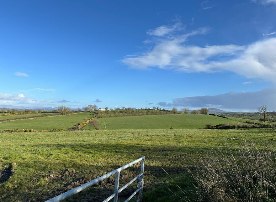 132m South Of No. 42, Aghincurk Road,, Newtownhamilton, Newry, BT35 0AT