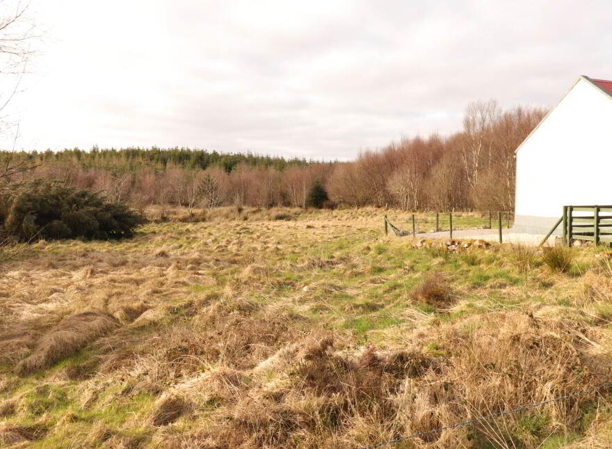 Roadside Cottage, Unshogagh, Blacklion, F91D894