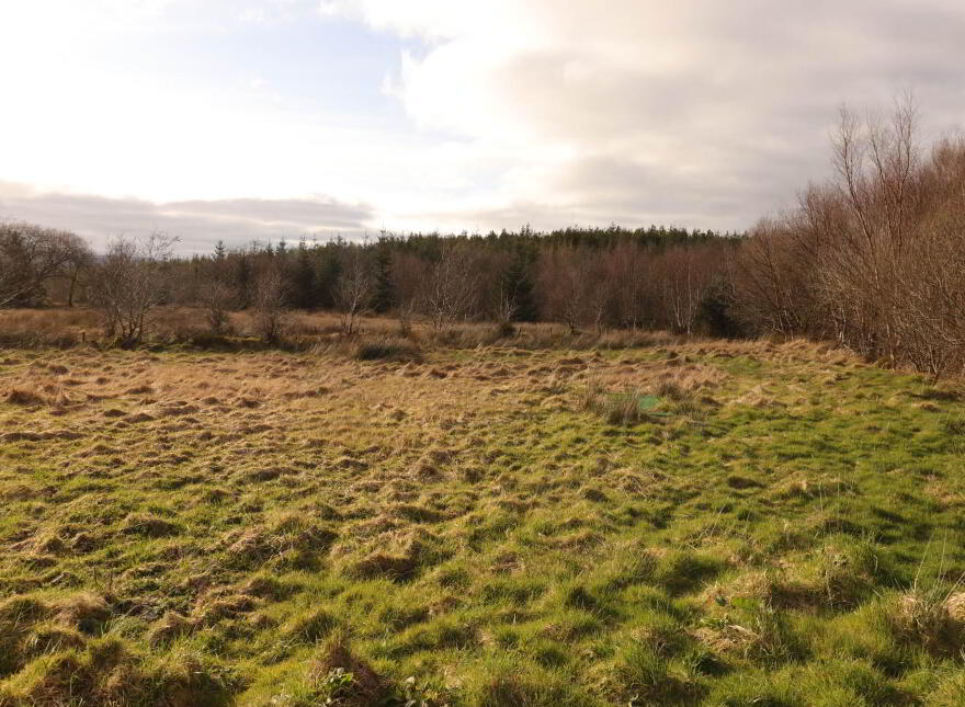 Roadside Cottage, Unshogagh, Blacklion, F91D894