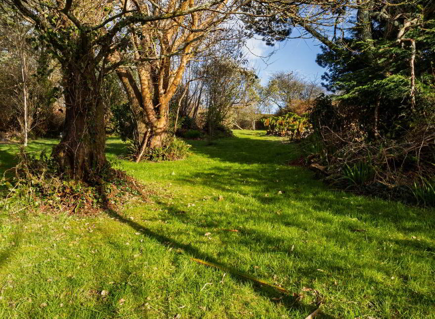 Lobster Cottage, Raheen, Union Hall, P81WK37