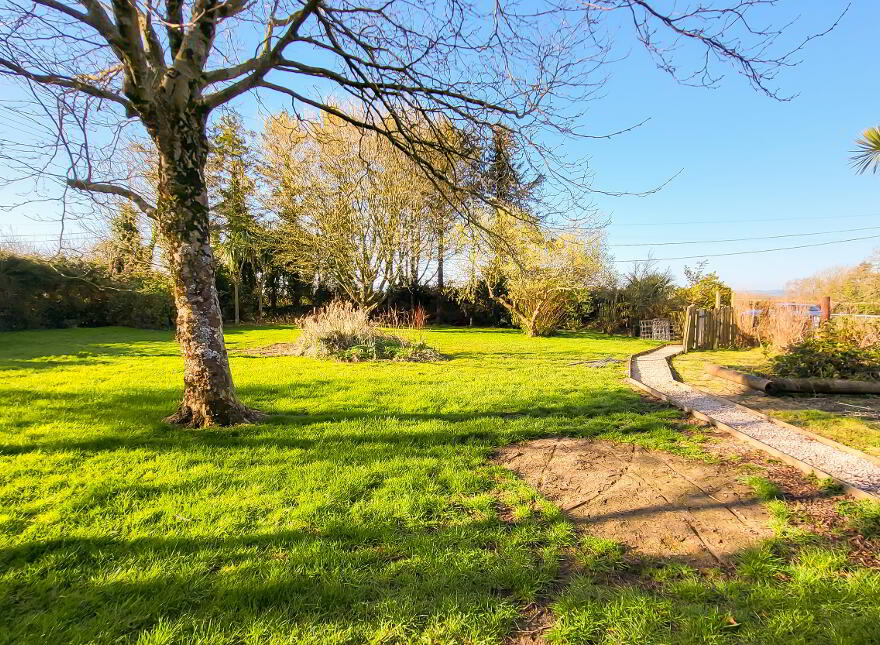Pride O'Morn, Bogland, Arklow, Y14F251