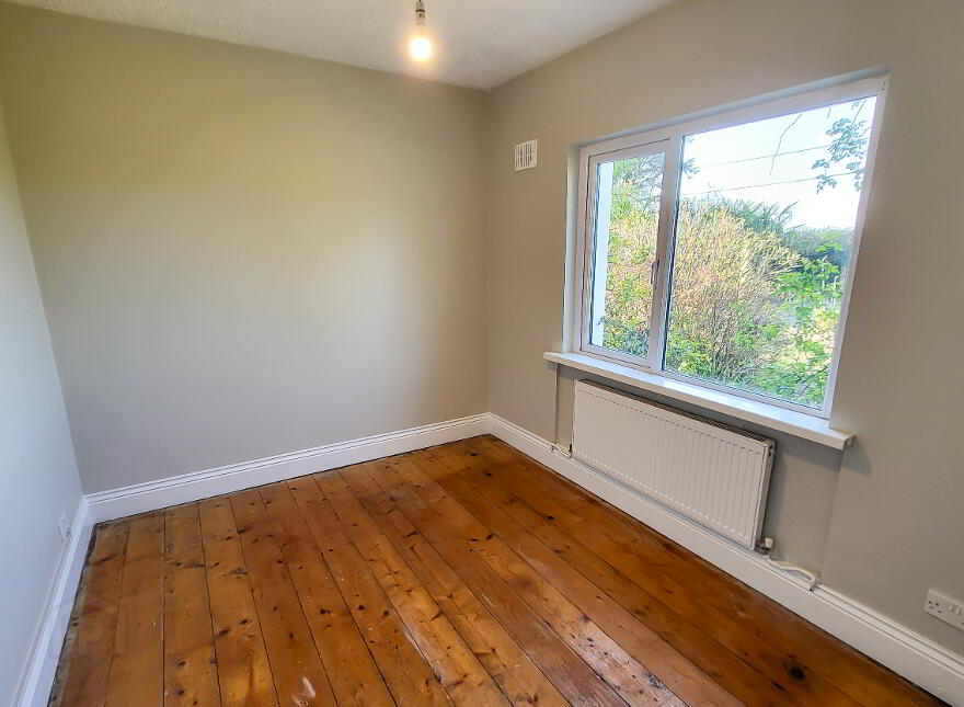 Pride O'Morn, Bogland, Arklow, Y14F251