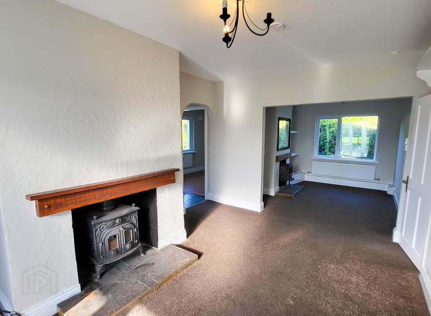 Pride O'Morn, Bogland, Arklow, Y14F251