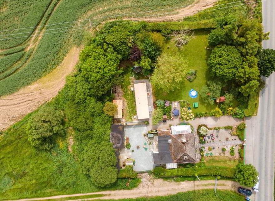 Pride O'Morn, Bogland, Arklow, Y14F251