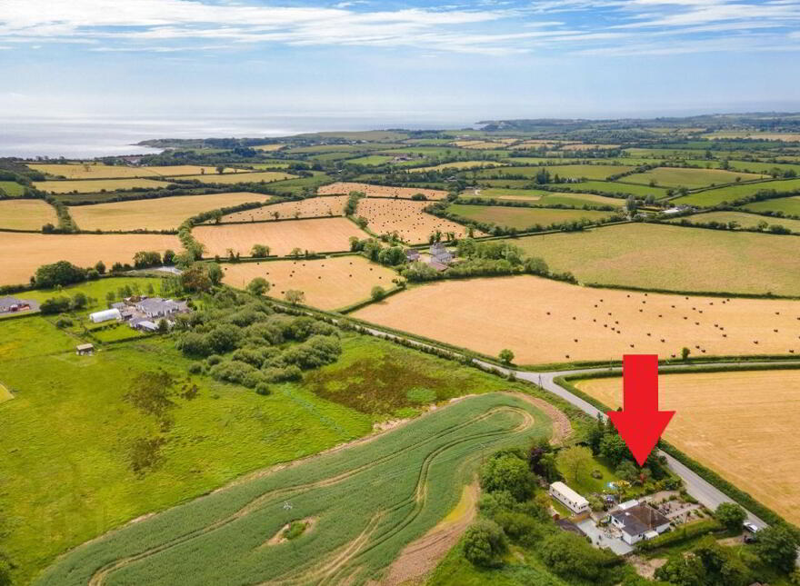 Pride O'Morn, Bogland, Arklow, Y14F251