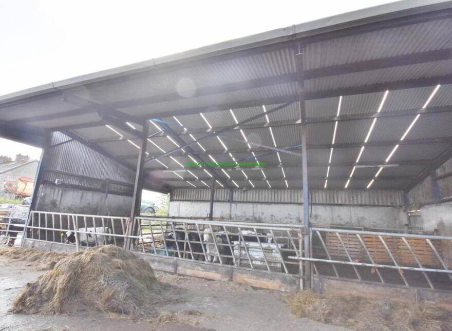40 Acres At, Dooncaha, 40 Acres At Dooncaha, Tarbert, Kerry