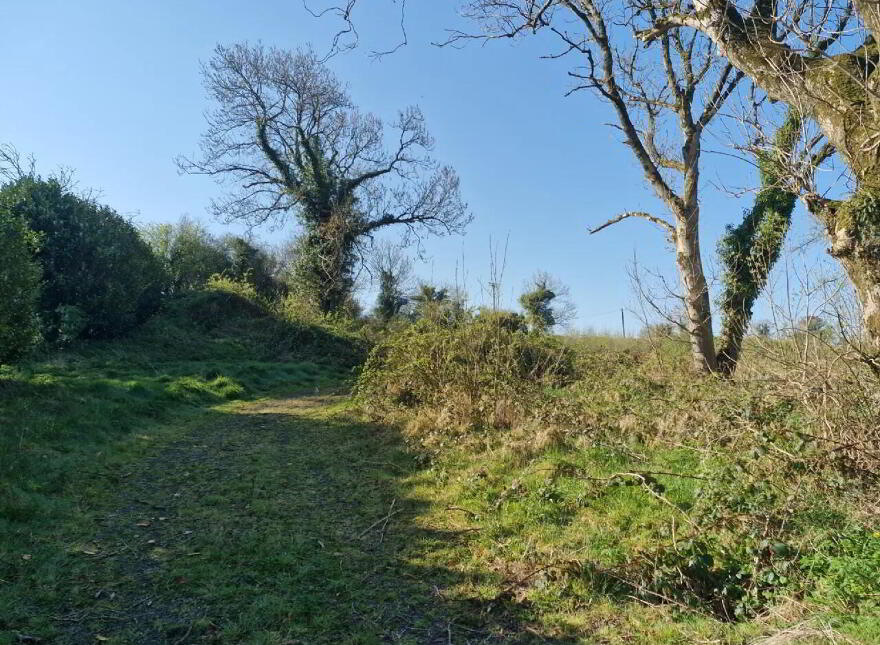 Annabrack TD, Smithborough