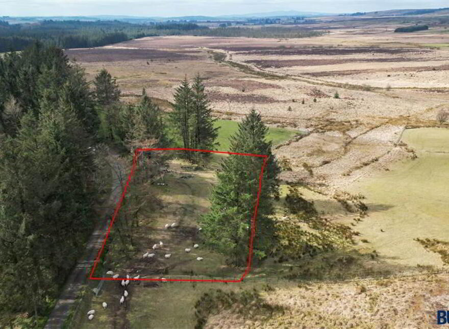 Building Site, At 163, Davagh Road, Draperstown, Magherafelt, BT45 7BJ