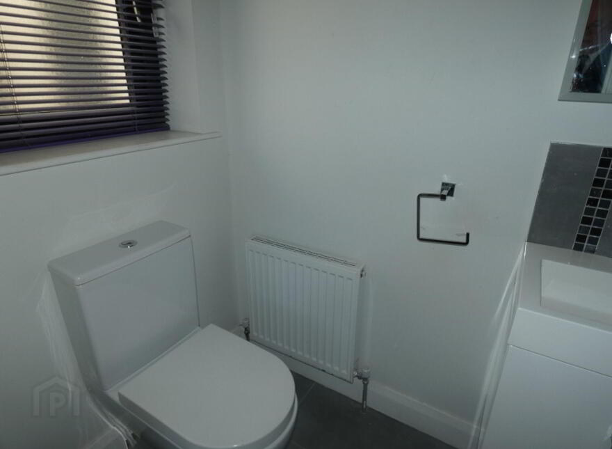 9 Route Meadows, Ballymoney, BT53 6SH