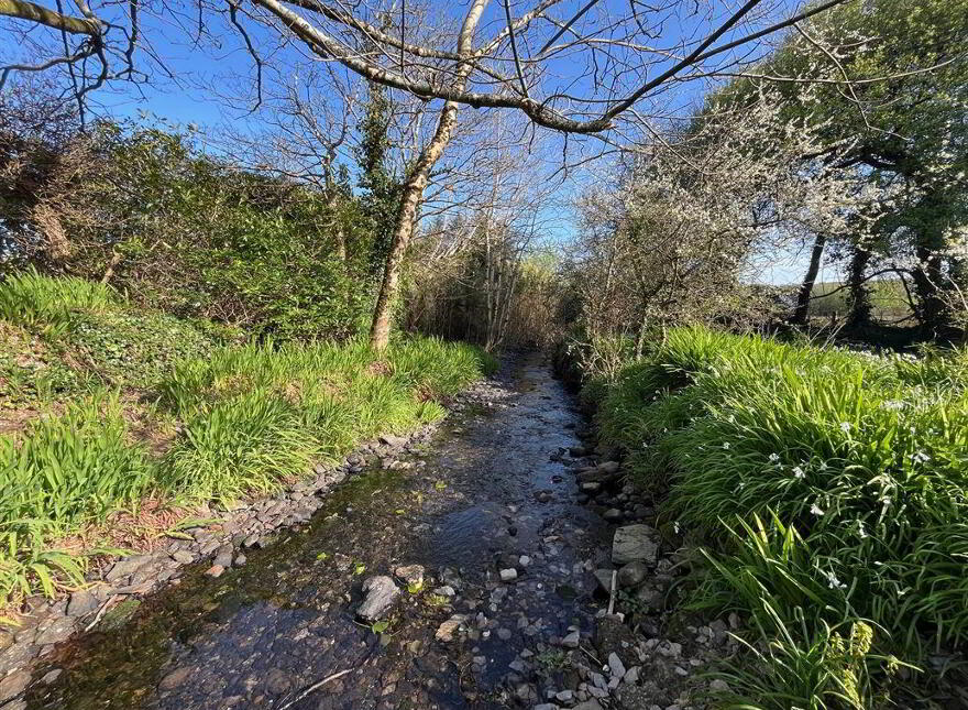 Cooradarrigan, Schull, West, P81WV44