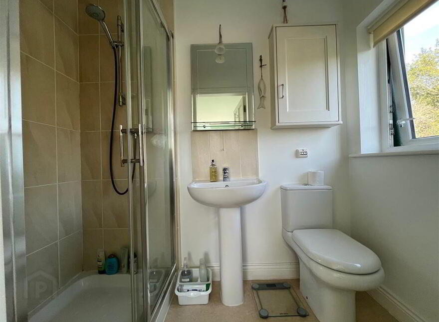 Cooradarrigan, Schull, West, P81WV44