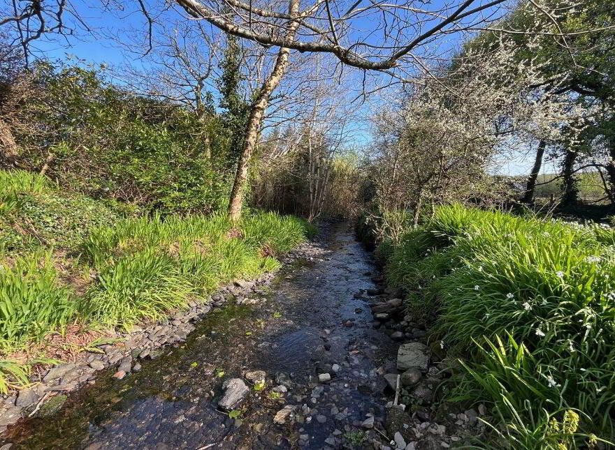 Cooradarrigan, Schull, P81WV44