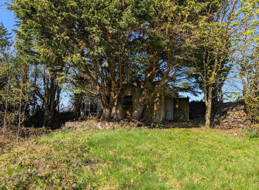 Mullaghboy, Corrawaleen, Carrigallen, H12X308