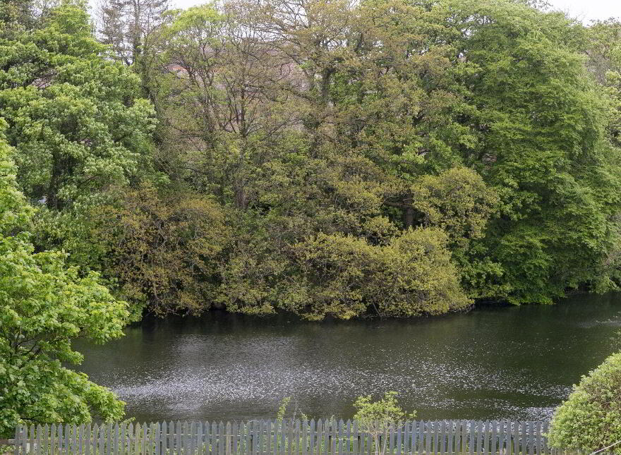3 St. Patricks Gardens, Templepatrick, Ballyclare, BT39 0AD