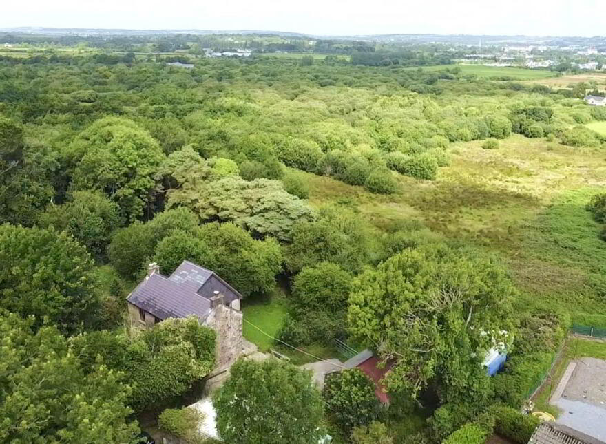 Caherleheen, Tralee