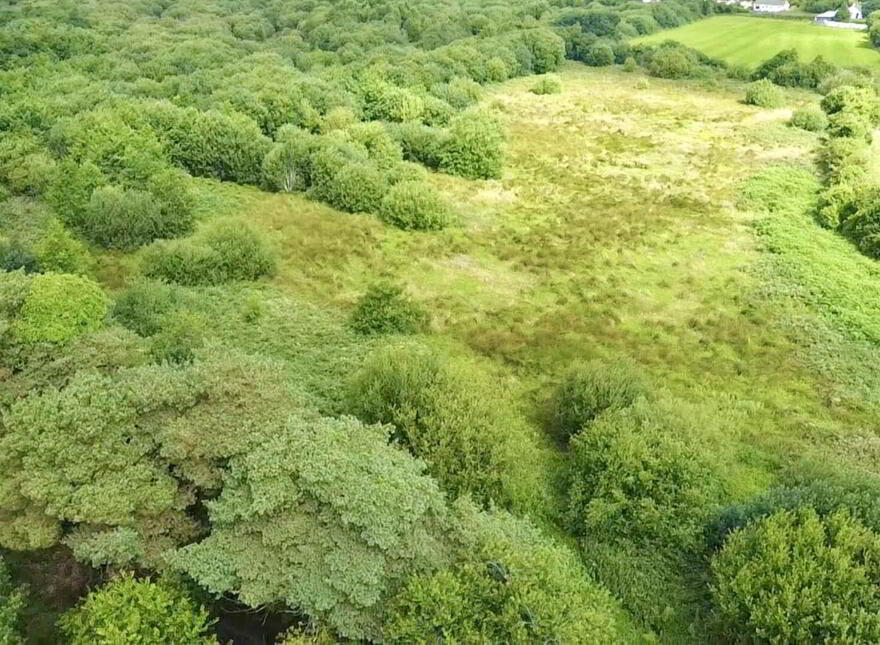 Caherleheen, Tralee