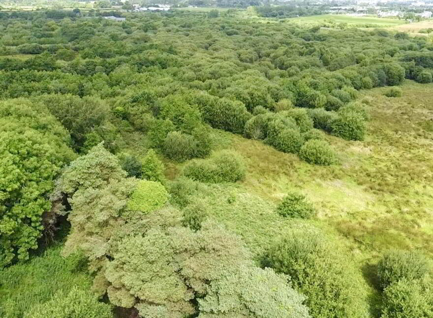 Caherleheen, Tralee