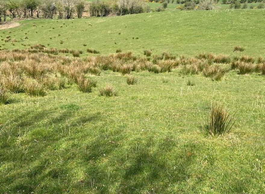 Cottown, Raphoe, Donegal