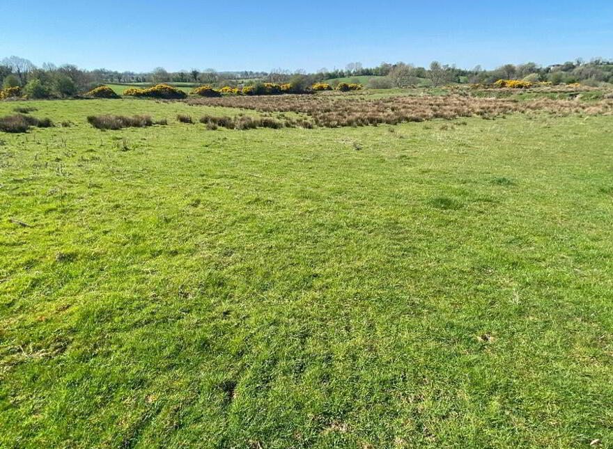 Cottown, Raphoe, Donegal