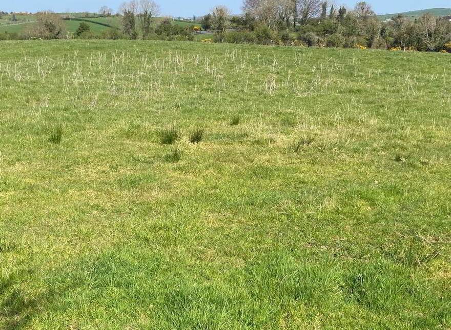 Cottown, Raphoe, Donegal