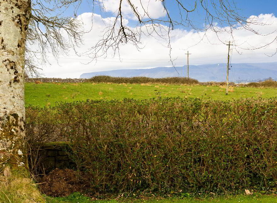 Oakfield, Sligo Town