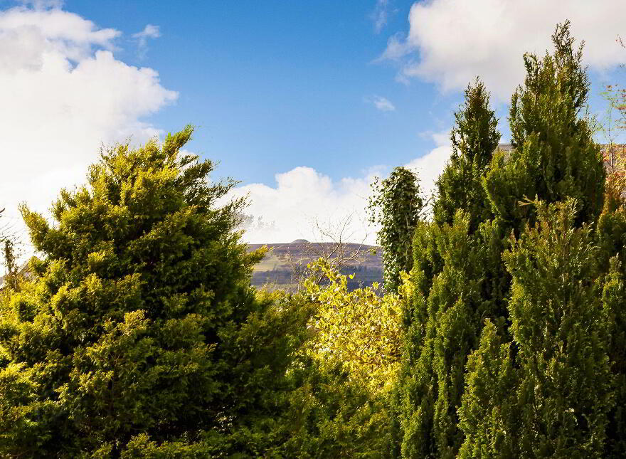 Oakfield, Sligo Town