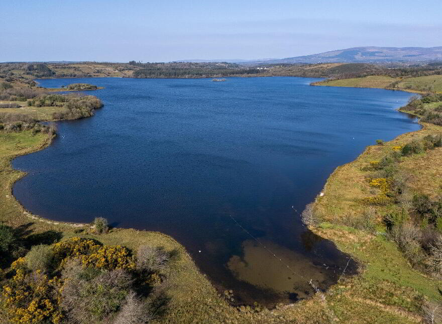 Greagh, Fenagh, N41F625