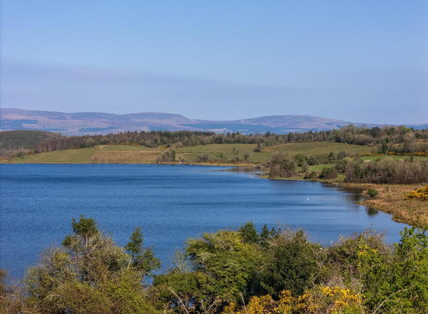 Greagh, Fenagh, N41F625