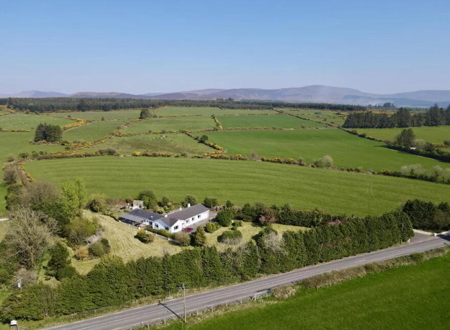 Keianne Lodge, Ballinamult, E91K520