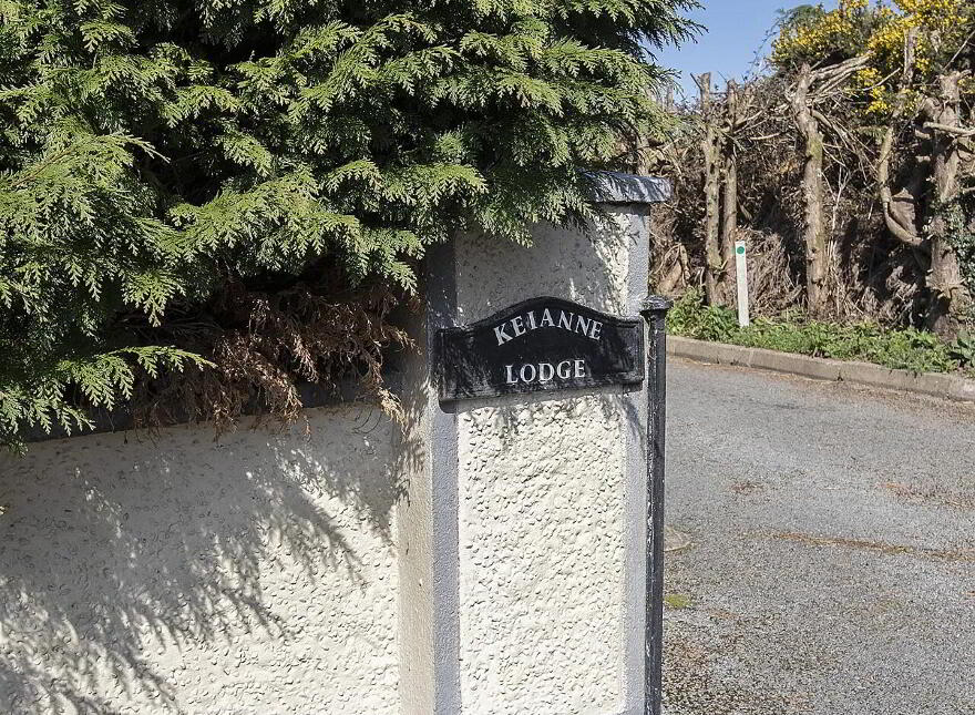Keianne Lodge, Ballinamult, E91K520