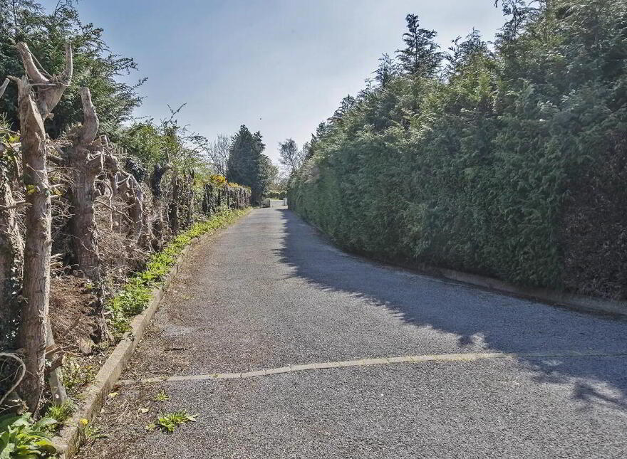 Keianne Lodge, Ballinamult, E91K520
