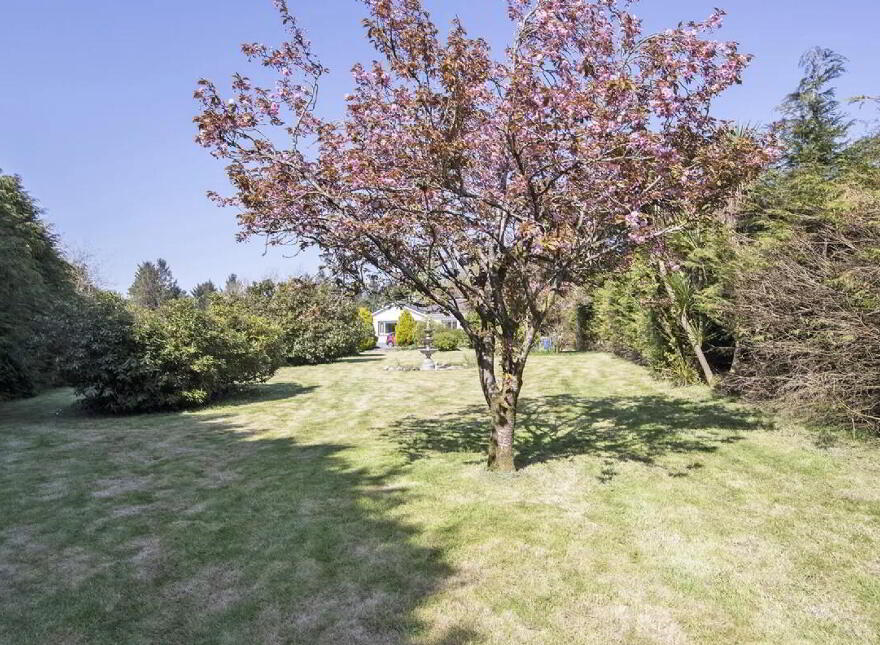 Keianne Lodge, Ballinamult, E91K520