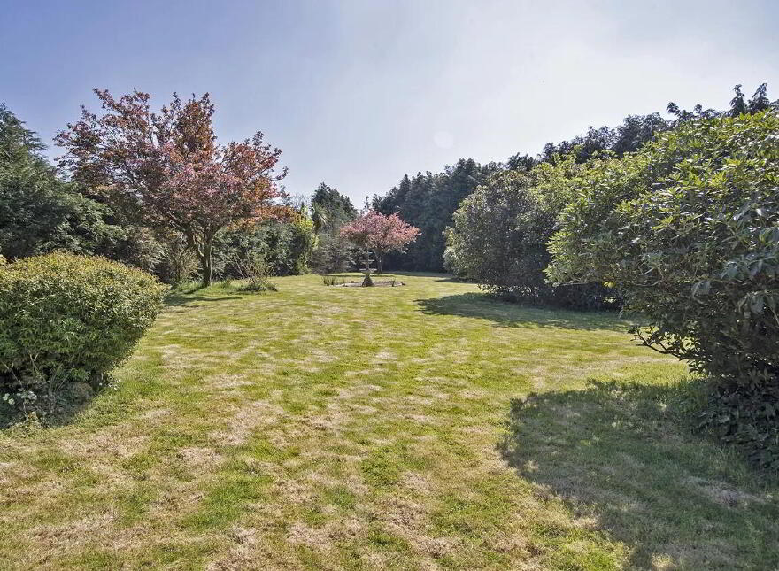 Keianne Lodge, Ballinamult, E91K520