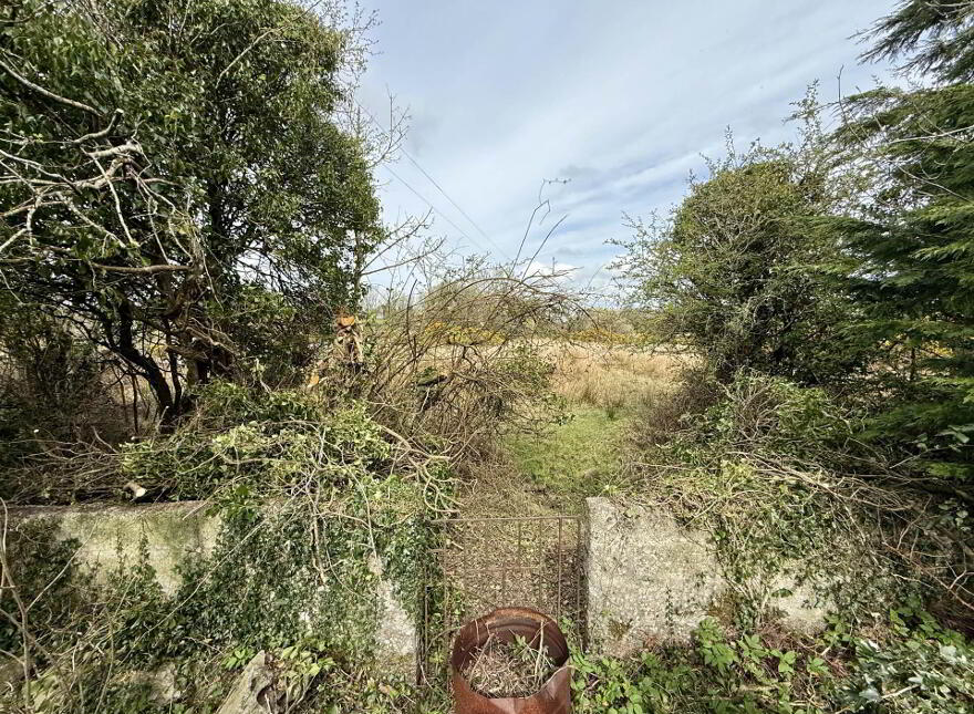 Cuslough Demesne, Ballinrobe, F31X821