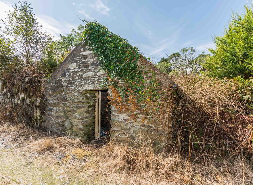 Lickeen, Glengarriff, P75Y104