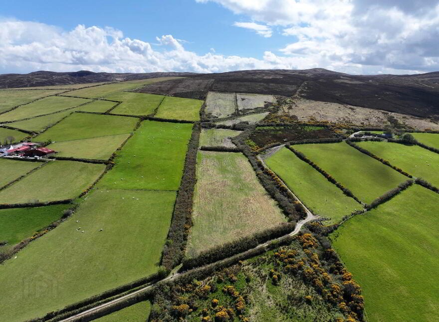 Mossy Glen, Lecamy, Moville