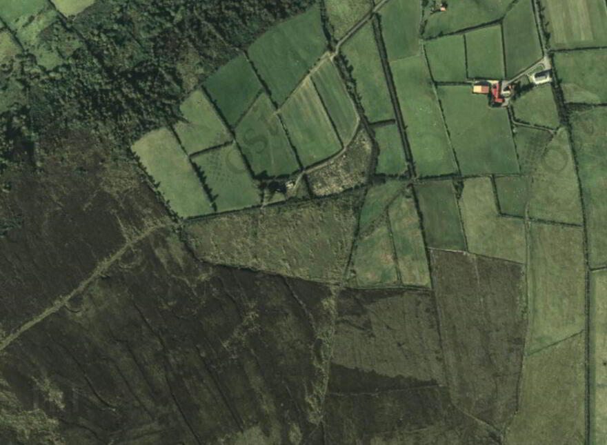 Mossy Glen, Lecamy, Moville