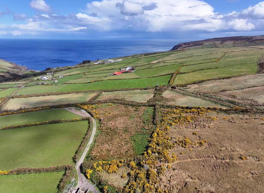 Mossy Glen, Lecamy, Moville