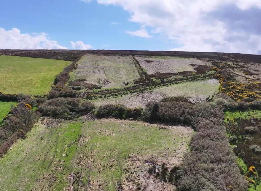 Mossy Glen, Lecamy, Moville