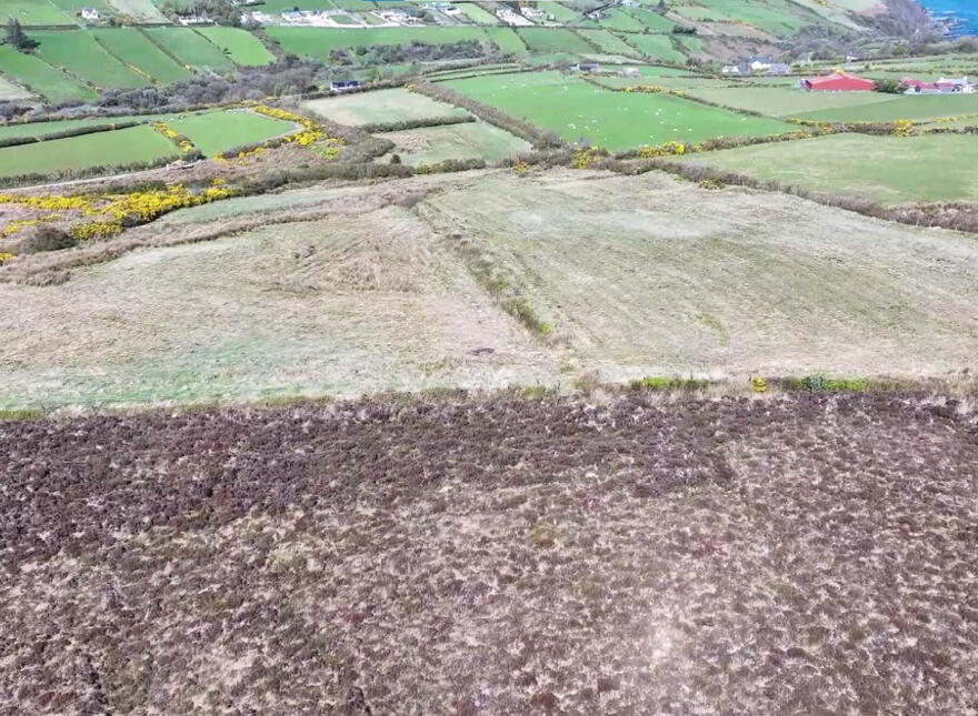 Mossy Glen, Lecamy, Moville