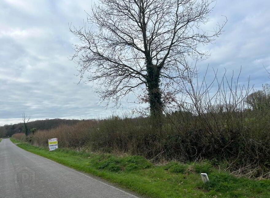 Lough, Portarlington