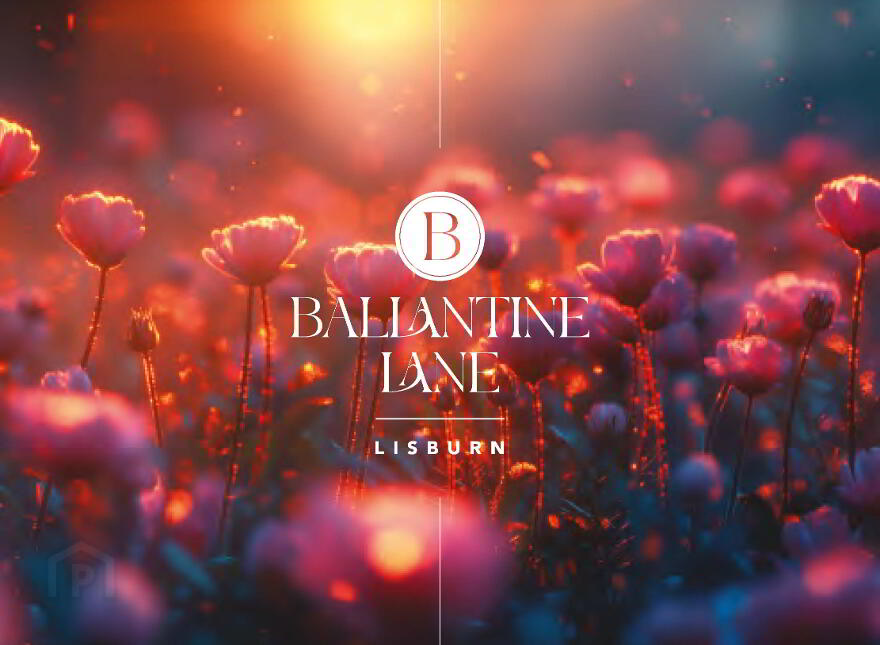 22a, Ballantine Lane, 22a Ballantine Lane, Lisburn, BT27 5AG