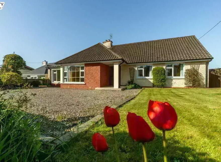 The Orchid, Castleredmond, Midleton photo