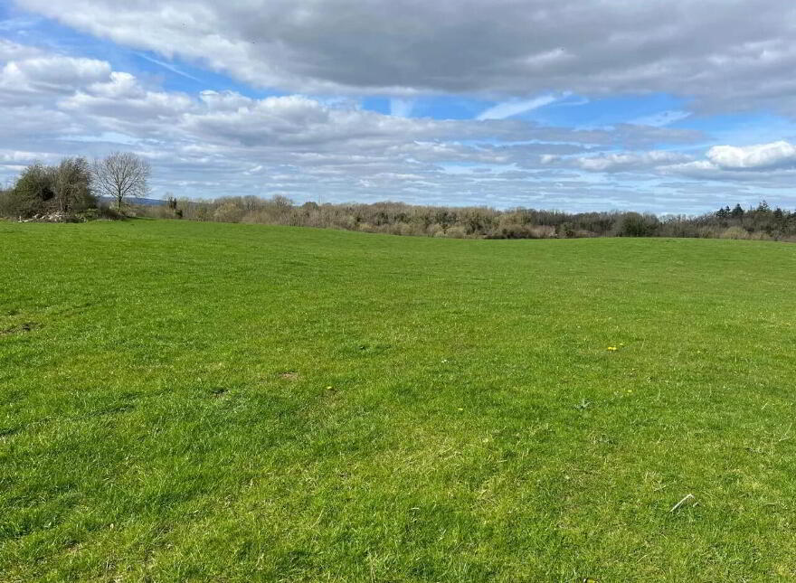 Brocka, Coolbawn, Nenagh