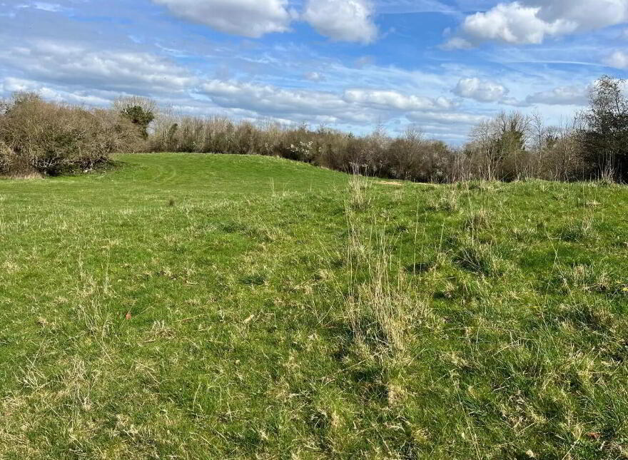 Brocka, Coolbawn, Nenagh