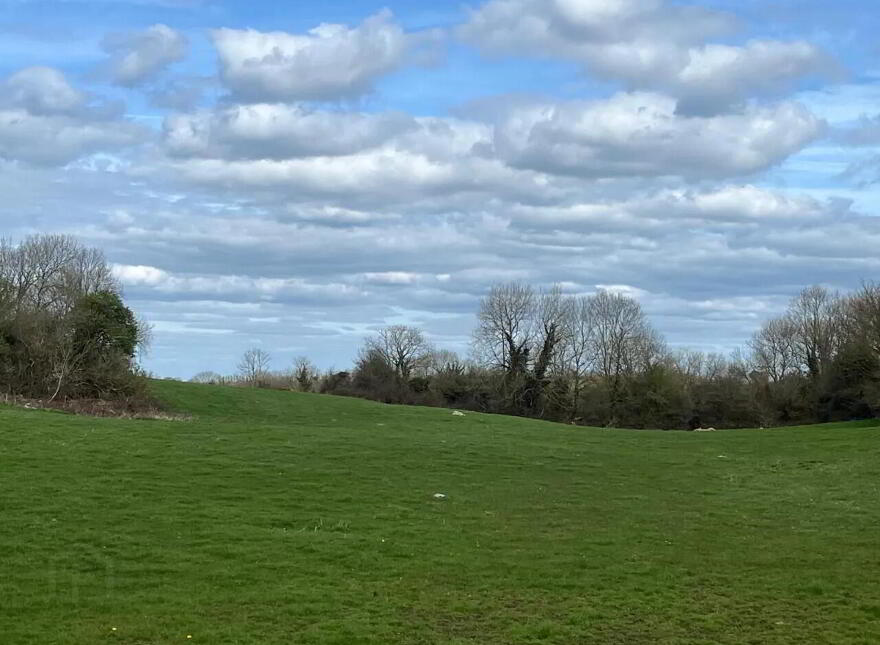 Brocka, Coolbawn, Nenagh