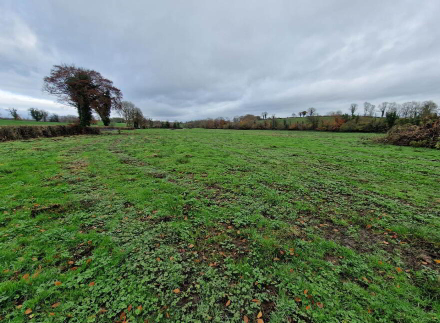 Circa 10 Acres, Agricultural Land, Golan Road, Magheraveely, Enniskillen, BT92 6AW