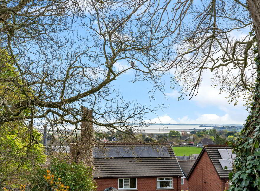 32 Heathermount Court, Comber, Newtownards, BT23 5NT