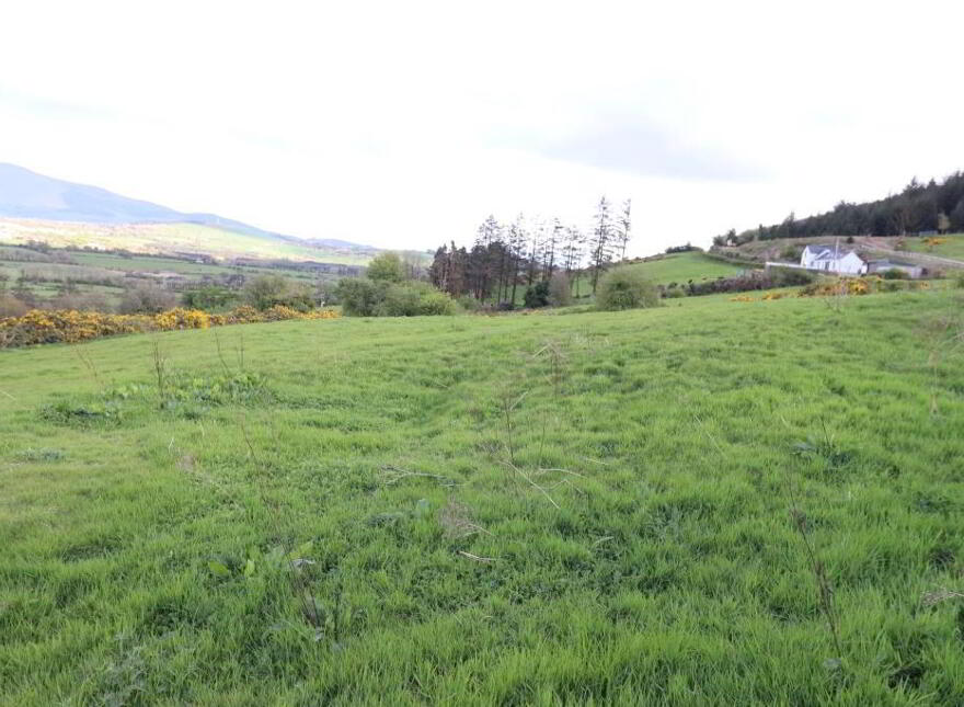 Glenbroghane,, Garryspillane