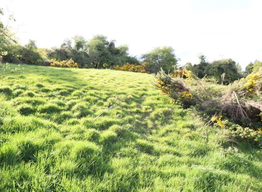 Glenbroghane,, Garryspillane